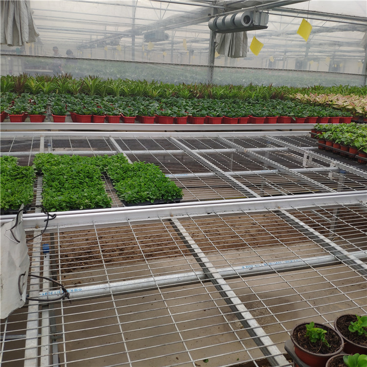 溫室苗圃網(wǎng)圖片3 溫室苗圃網(wǎng)圖片3