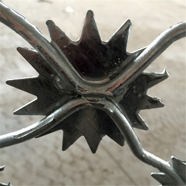 監(jiān)獄梅花刺圍網(wǎng)圖片3 監(jiān)獄梅花刺圍網(wǎng)圖片3