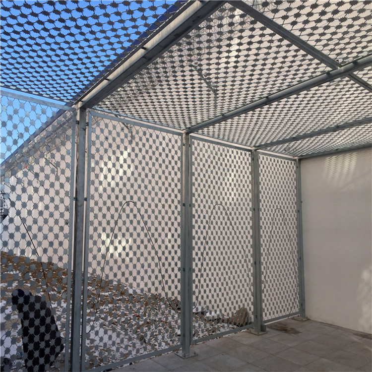 監(jiān)獄梅花刺圍網(wǎng)圖片4 監(jiān)獄梅花刺圍網(wǎng)圖片4