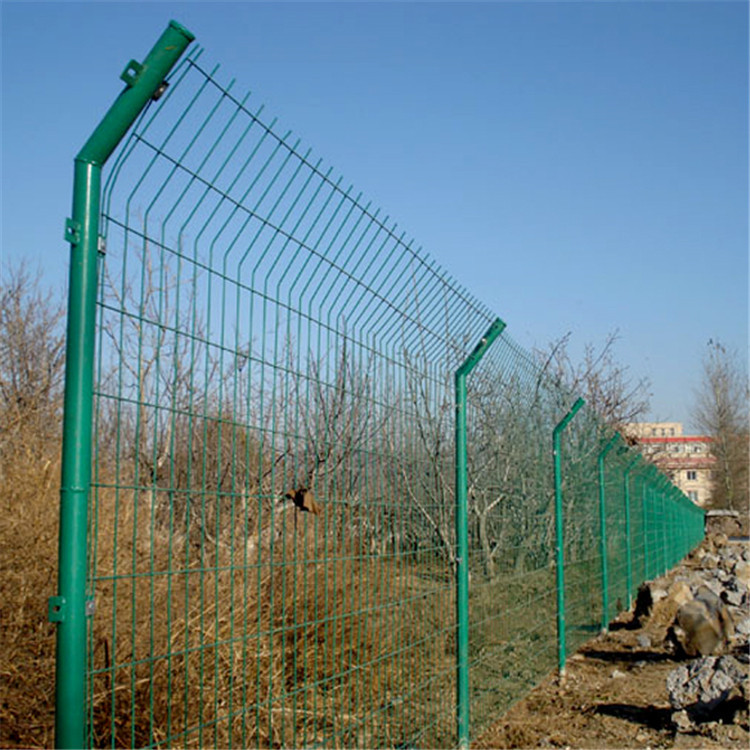 1.8米浸塑鐵絲網(wǎng)圖片1 1.8米浸塑鐵絲網(wǎng)圖片1