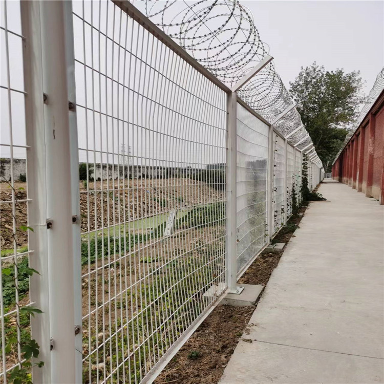 監(jiān)獄專用隔離網(wǎng)廠家直銷圖片2 監(jiān)獄專用隔離網(wǎng)廠家直銷圖片2